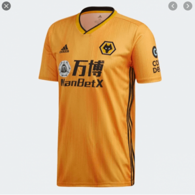 Camiseta Primera Equipación Wolverhampton Wanderers Fc