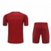 Camiseta Portero París Saint-Germain Roja
